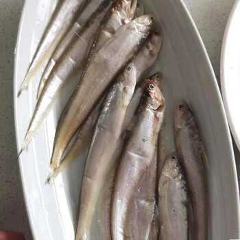 刀鱼1两左右条大号茅刀鱼冷冻刀鱼速冻湖刀鱼油炸香煎冷冻品2535条斤