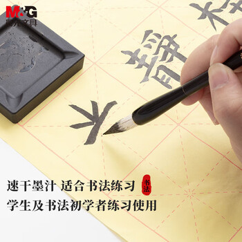 晨光(M&G)文具100ml学生书法绘画墨汁 创作墨汁 初学者书画墨水练字开学礼物 单瓶装AICW8802