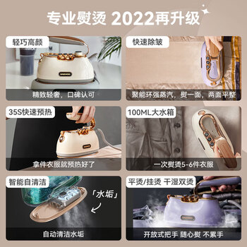 大宇（DAEWOO）挂烫机 手持小星斗熨烫机 蒸汽电熨斗旅游出差便携式小型除菌自清洁烫衣机HI-036 星黛紫