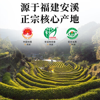 华源安溪铁观音清香型特级250g*2非遗传承技艺2025新茶节日送礼盒装