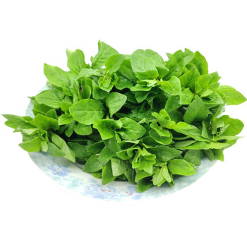 新鲜枸杞叶菜现摘嫩芽头野菜应季枸杞芽蔬菜 500g