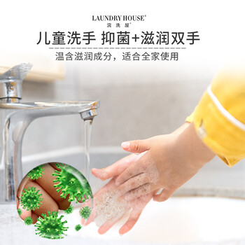 浣洗屋(Laundry House) 洗手液泡沫抑菌温和不刺激香氛家庭护理225mL 浣洗屋(Laundry House) 洗手液泡沫抑菌温和不刺激香氛家庭护理225mL