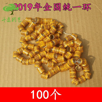 鸽子脚环信鸽用品用具电子环足环2020年全国统一环仿真环外国环山东15