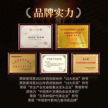 勐昌號茶叶云南勐海小金砖普洱茶熟茶36g小沱茶糯米香熟普茶砖盒装