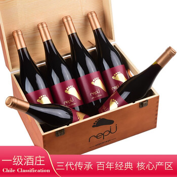 伊桐优选赤霞珠干红葡萄酒智利原瓶进口红酒整箱 双支礼盒装 整箱装