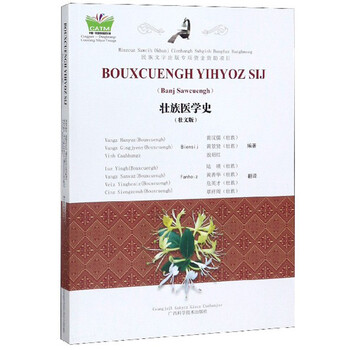 壮族医学史(壮文版)/中国东盟传统医药文库