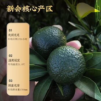 虎标中国香港品牌 三年新会陈皮 泡水泡茶广东江门220g礼盒装送礼