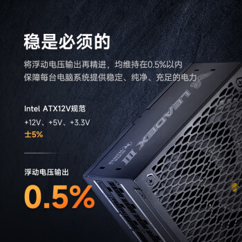 SUPER FLOWER振华 ATX3.1电源 额定1300W LEADEX III1300W 金牌全模 /十年保固/支持 5090/9070显卡