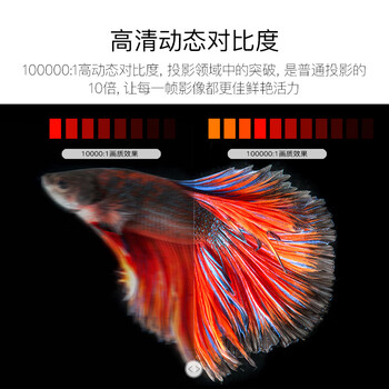 LGPH450UG投影仪怎么样质量大揭秘！