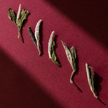 绿雪芽 花好月圆和悦系列·福鼎 白茶茶叶 296gD-L10