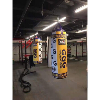 阿瓦雷兹梅威瑟拳击沙袋吊式实心成人健身家用散打沙包训练ggg定制