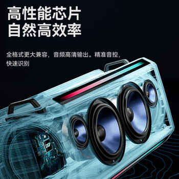 索爱（soaiy）SH05户外K歌5.3蓝牙音箱声卡音响一体机四喇叭双振膜立体声重低音炮混响广场舞直播带2个麦克风