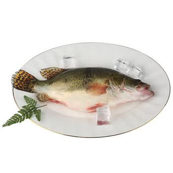 渔民的孩子每日现捕新鲜桂花鱼鲜活微冻桂鱼500g 条可清蒸的品质帮杀 425g 条 图片价格品牌报价 京东