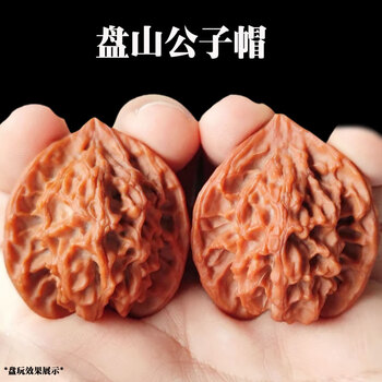 文玩核桃 原树吸血鬼官帽 32mm 東京文玩育成】文玩核桃 原樹吸血鬼官帽 32x31x43mm 文玩核桃