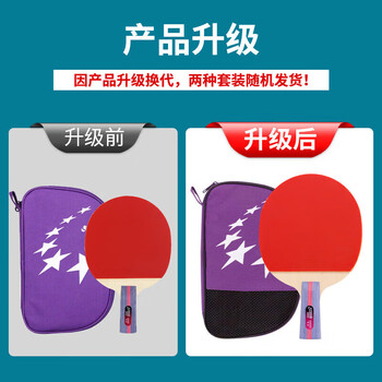 红双喜二星训练成品拍升级版直拍H2006双面反胶乒乓球拍含拍包乒乓球