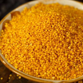 陕北米脂油小米黄小米五谷杂粮农家小米宝宝米月子米