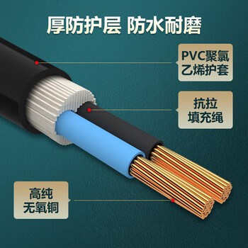 德力西(DELIXI)电线布电线 RVV 二芯护套线软线2.5平方黑色 家装家用铜芯电线【50米 RVV2*2.5】