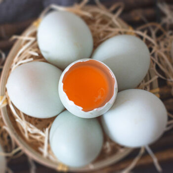 海岛新鲜生海鸭蛋广西北海红树林土鸭蛋海鸭蛋70克左右20枚装当天发货