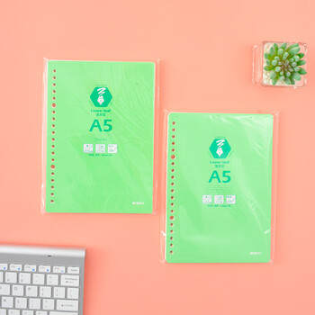 晨光（M&G）A5/20孔活页本芯横线活页本子替芯线圈纸活页笔记本替换内芯HA5A10A 100页/包