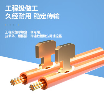 礼嘉 6P4C屏蔽长型水晶头 6P4C语音电话线接头 RJ12接口水晶头 4芯纯铜镀金 100个装 LJ-4FTP100