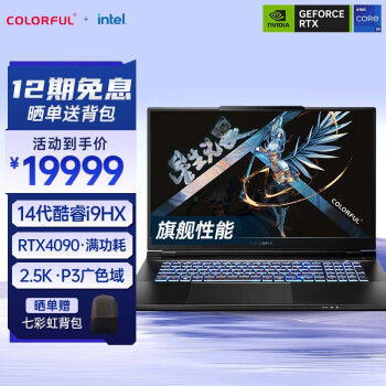 七彩虹（Colorful）将星X17 Pro Max 14代酷睿i9 17.3英寸游戏笔记本电脑(i9-14900HX 32G 1TB RTX4090 240Hz 2.5K屏)