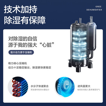 格力(GREE)许我耀眼推荐【轻音小巧 空气净化】除湿机抽湿机家用12升除潮防霉负离子净化单间≤24㎡DH12ENA1A 格力(GREE)许我耀眼推荐【轻音小巧 空气净化】除湿机抽湿机家用12升除潮防霉负离子净化单间≤24㎡DH12ENA1A