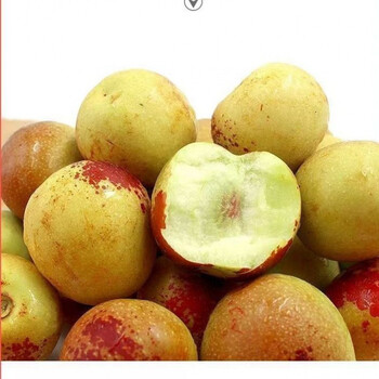 伯贤(boxian)冰糖枣,核小肉厚,脆甜无渣.现摘现发,产地直发. 大果/5斤