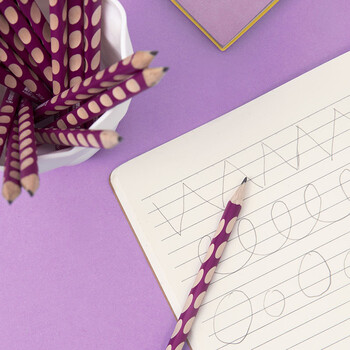 思笔乐（STABILO）洞洞铅笔 小学生文具 HB铅笔 儿童矫姿练字 考试铅笔 324紫色6支装 儿童铅笔