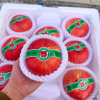 德骊嘉世界一号苹果平安果超大苹果500克平安夜圣诞节礼物新鲜精选