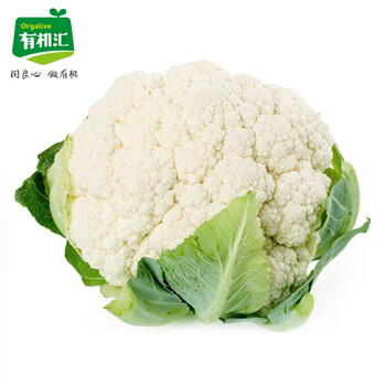 有机汇有机白菜花白花菜宝塔松花菜花椰菜生鲜新鲜蔬菜供港有机蔬菜基地有机认证生鲜500g 图片价格品牌报价 京东 有机汇有机白菜花白花菜宝塔松花菜花椰菜生鲜新鲜蔬菜供港有机蔬菜基地有机认证生鲜500g 图片价格品牌报价 京东