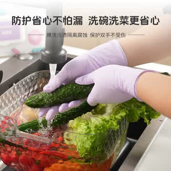 添赞（Titanfine） 添赞一次性丁腈手套30只L码家务洗碗食品级厨房清洁常规乌梅紫
