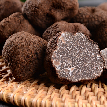 云南新鲜黑松露菌500g装当季块菌猪拱菌无娘果2-3cm速冻菌菇 整箱