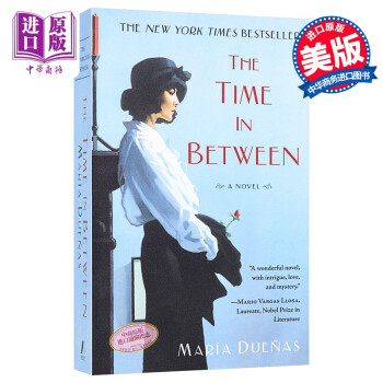 英文原版 The Time In Between: A Novel时间的针脚