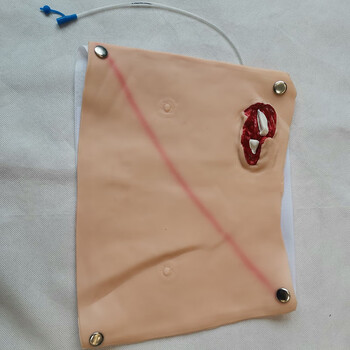 佳悦科教通伤情呈现模拟器材可穿戴战创伤评估模块出血止血包扎清创模块JY/H111-43 佳悦科教通伤情呈现模拟器材可穿戴战创伤评估模块出血止血包扎清创模块JY/H111-43