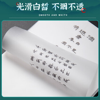 天章 （TANGO）新绿天章 17g A5 临摹纸 拷贝纸 钢笔字帖 描红薄纸 练字纸 透明纸 描图练字专用纸 250张/包