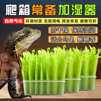 爬虫加湿器仿真植物加湿器爬宠陆1龟蜥蜴变色龙保湿增湿饲养箱造景空气雾化器普通款1片叶子 水盆 图片价格品牌报价 京东 爬虫加湿器仿真植物加湿器爬宠陆1龟蜥蜴变色龙保湿增湿饲养箱造景空气雾化器普通款1片叶子 水盆 图片价格品牌报价 京东