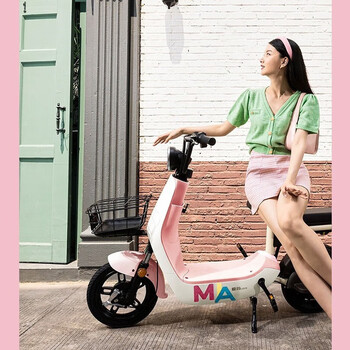 爱玛aima电动车小熊pro新国标48v13ah石墨烯铅酸电池电动自行车baby蓝