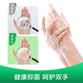 滴露 抑菌滋润洁净清新倍护450克+450克（两支装）