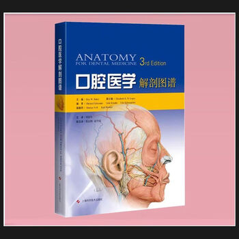 口腔解剖图