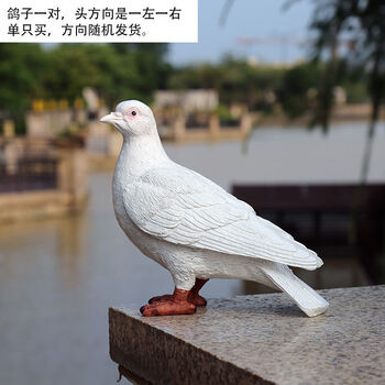 户外花园庭院装饰品创意树脂摆件工艺品仿真鸟动物雕塑鸽子摆件白鸽
