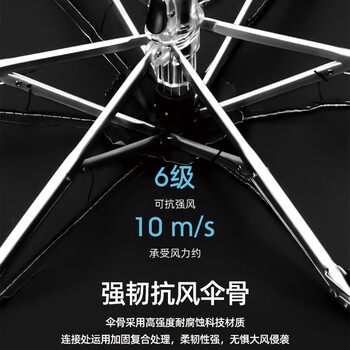 艾逸瑶选 晴悦系列钢骨玻纤便携扁五折口袋伞 YS-1842 袋装 艾逸瑶选 晴悦系列钢骨玻纤便携扁五折口袋伞 YS-1842 袋装