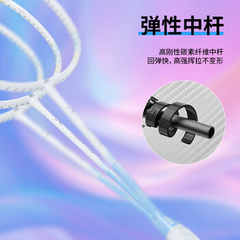 Taan泰昂羽毛球拍单拍全碳素运动训练羽拍小天鹅浅粉色羽拍已穿线