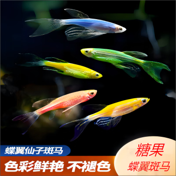 超爆安 魚用品/水草 zensui tegaru 魚用品/水草 - prodisacomunicacion.com