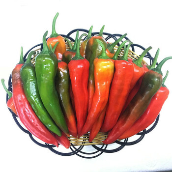 新鲜辣妹子辣椒辣特别辣东北小辣椒薄皮青尖辣椒腌制蘸酱蔬菜 辣妹子5