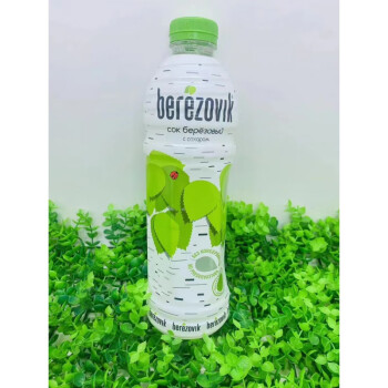 Brezovik Birch Water