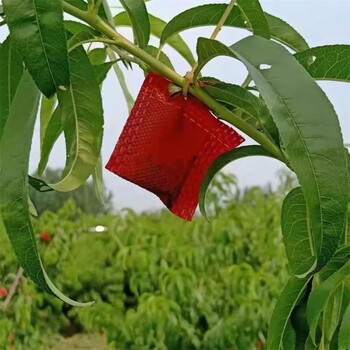 驱鸟剂驱鸟神器赶鸟香精包农田樱桃果园庄稼玉米地户外防鸟驱鸟药 浅