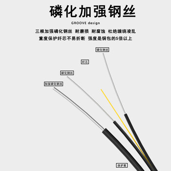 SK-LINK 单模双芯光纤皮线 室外2芯3钢丝成品光纤线尾纤免熔接户外低烟无卤 300米SC接头SWGL2SM-300M(SC)