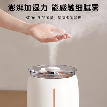 小熊（Bear）加湿器 加湿器 8L大容量落地式大雾量 母婴孕妇专用旋钮款 JSQ-P80C5机械款