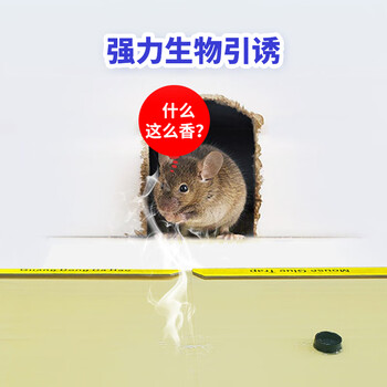 达豪 捕鼠神器一老鼠贴窝强力粘鼠板端大号灭鼠家用5张装 达豪 捕鼠神器一老鼠贴窝强力粘鼠板端大号灭鼠家用5张装