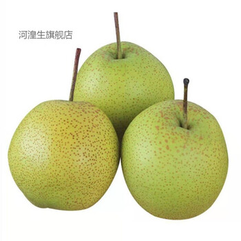 正宗雪花梨赵县冰糖雪梨新鲜水果梨子批发一整箱尝鲜一个梨只有一个